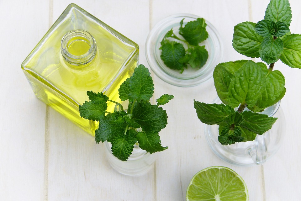 mint extracts